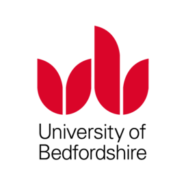 Fissure in Sandstone