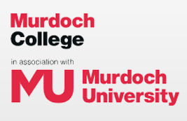 Fissure in Sandstone